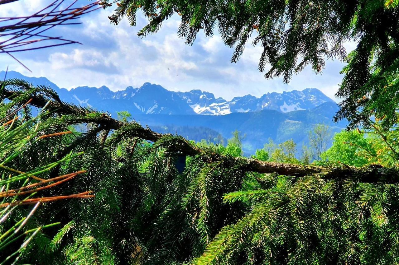 Kwatera prywatna Tatrzańska Pod Brzyzkiem Zakopane